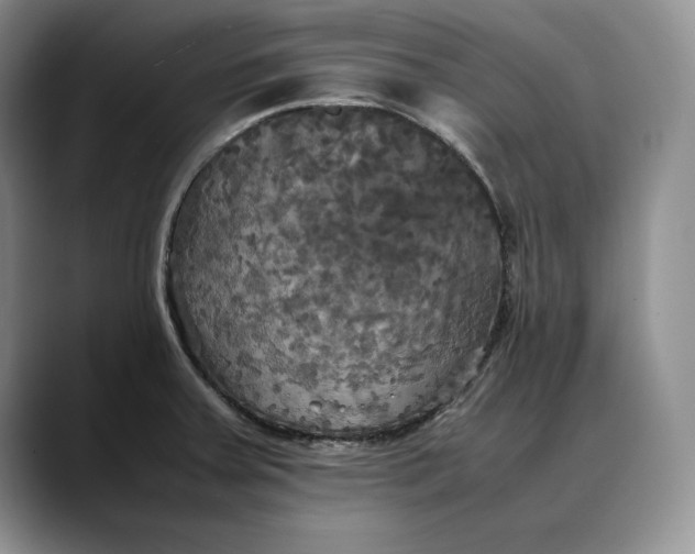 X0000088481379200706121523