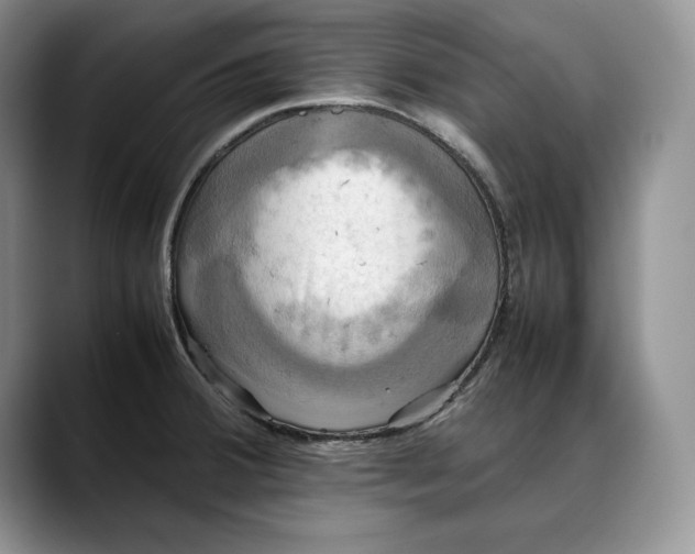 X0000088481380200706121523