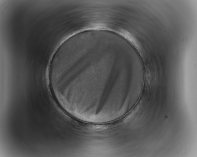 X0000088481382200706121523