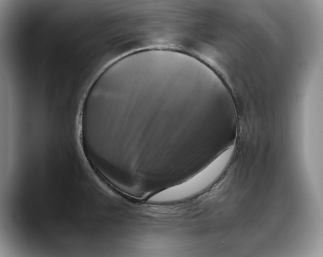 X0000088481383200706121523