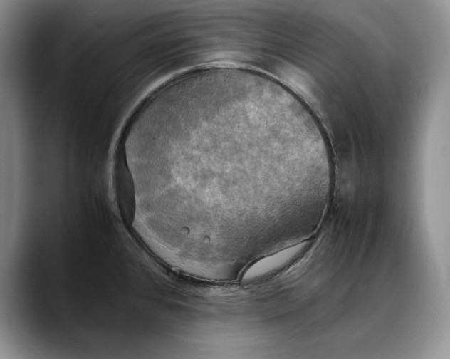 X0000088481384200706121523
