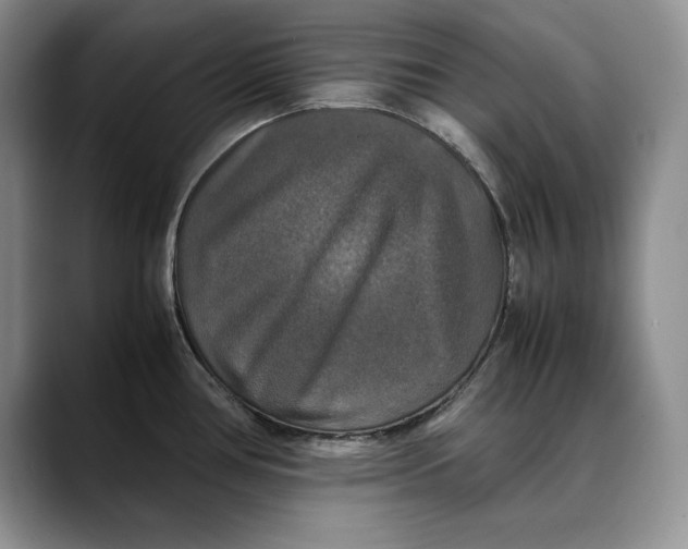 X0000088481386200706121523