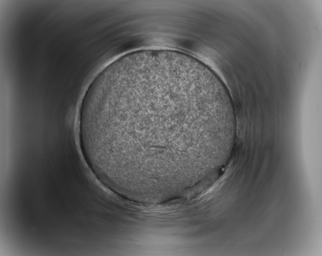 X0000088481387200706121523