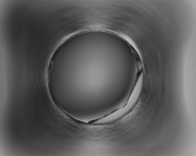 X0000088481389200706121523