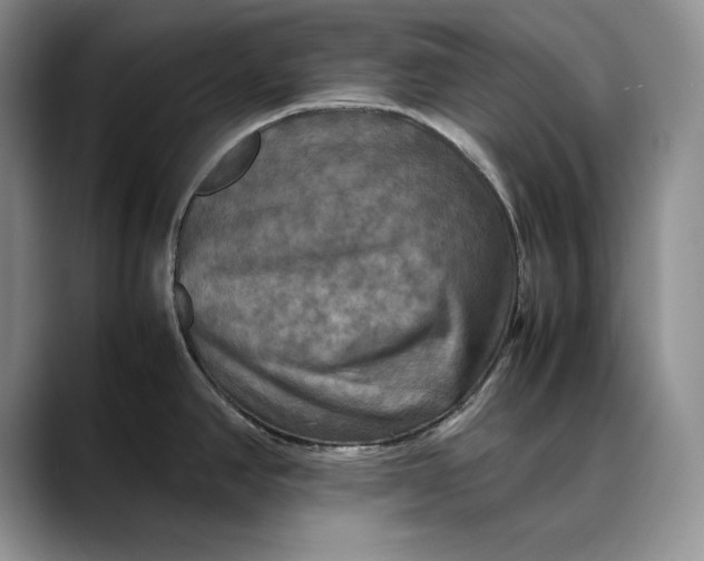 X0000088481390200706121523