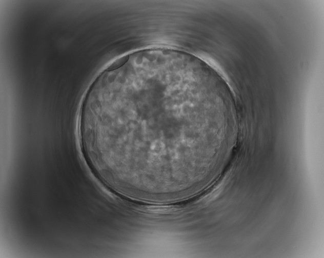 X0000088481391200706121523