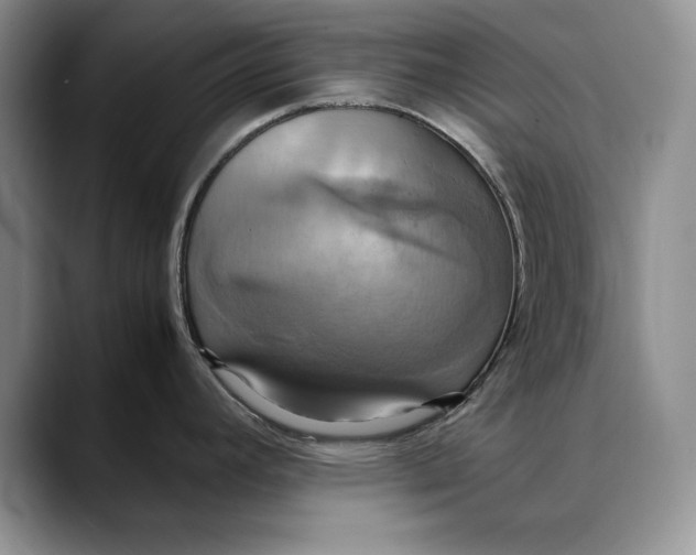 X0000088481392200706121523