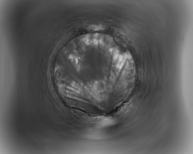 X0000088481393200706121522