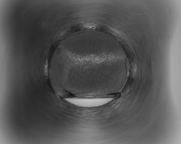 X0000088481394200706121522