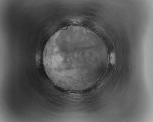 X0000088481395200706121522