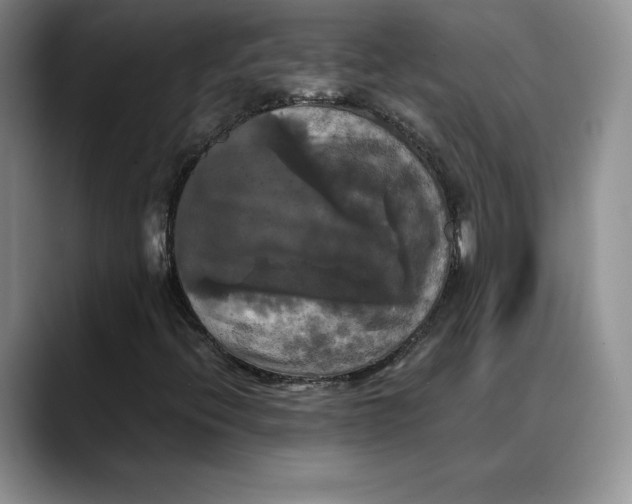 X0000088481396200706121522