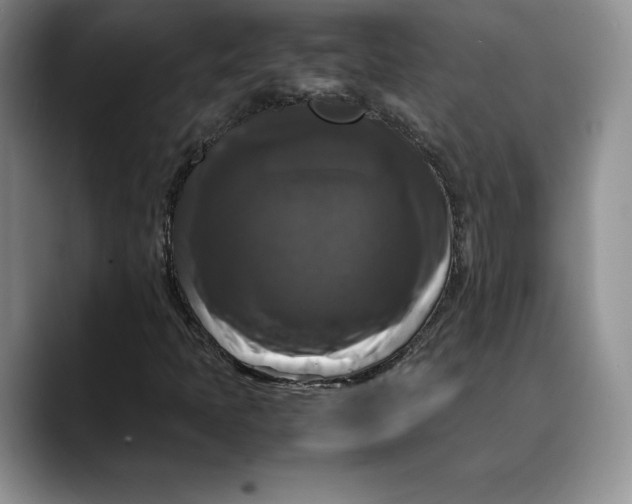X0000088481397200706121522