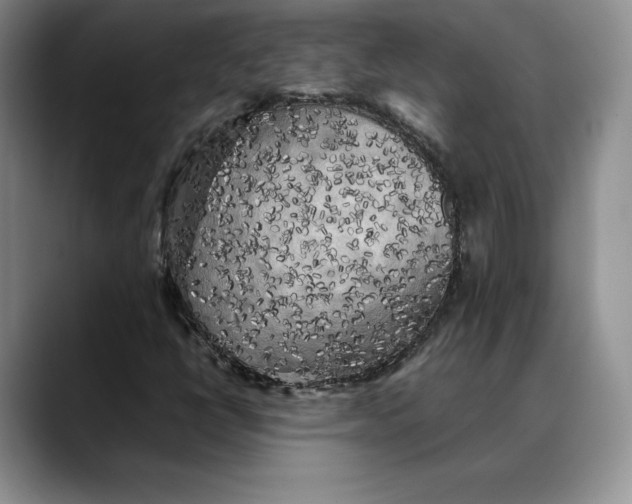 X0000088481398200706121522
