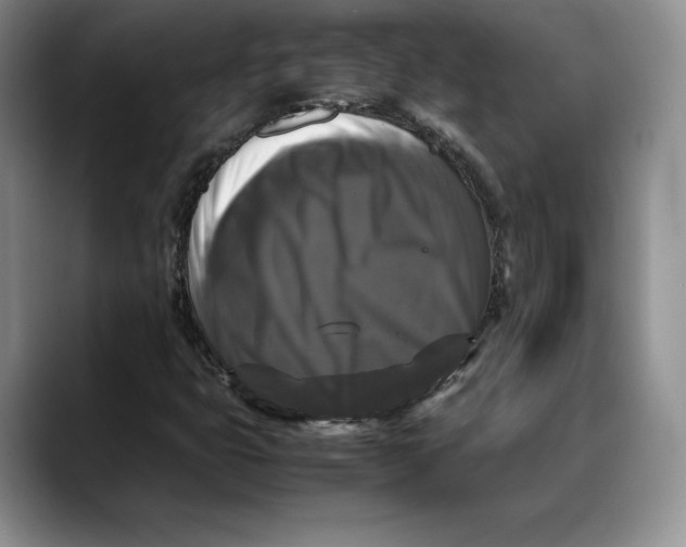 X0000088481399200706121522
