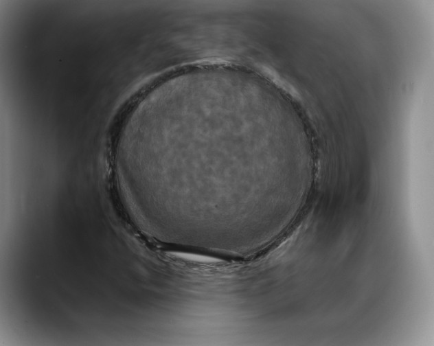 X0000088481400200706121522
