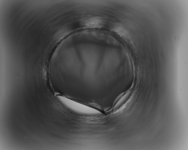 X0000088481401200706121522