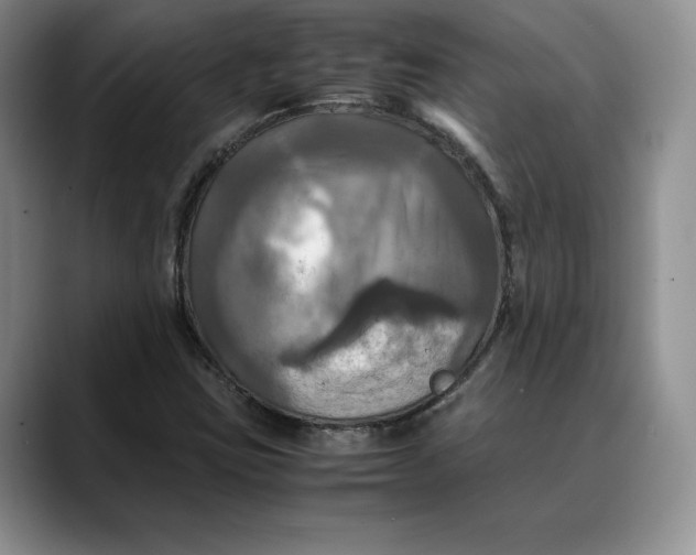 X0000088481403200706121522