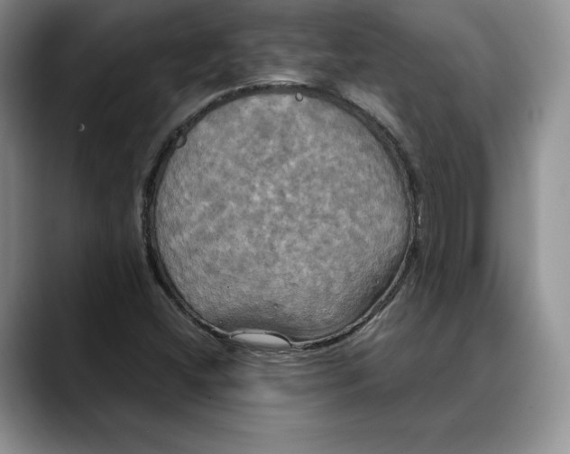 X0000088481404200706121522