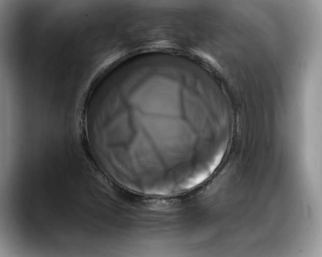 X0000088481405200706121522
