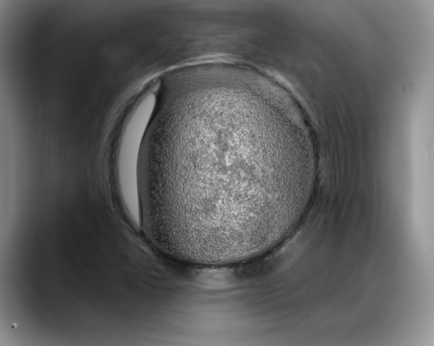 X0000088481406200706121522