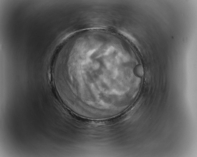 X0000088481407200706121522