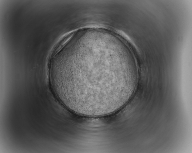 X0000088481408200706121522