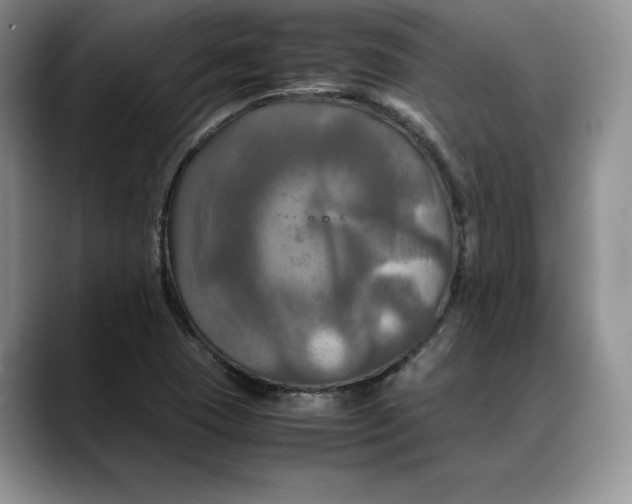 X0000088481409200706121522