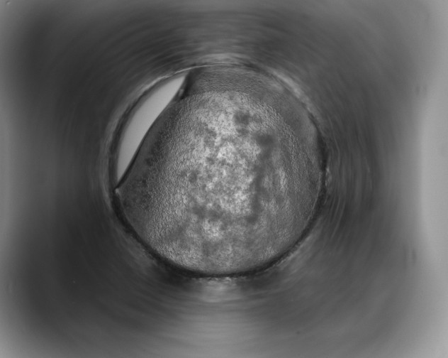 X0000088481410200706121522