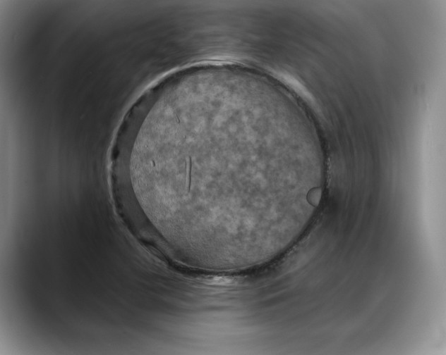 X0000088481412200706121522