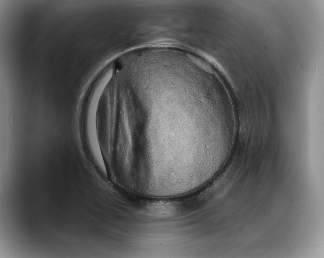 X0000088481414200706121522