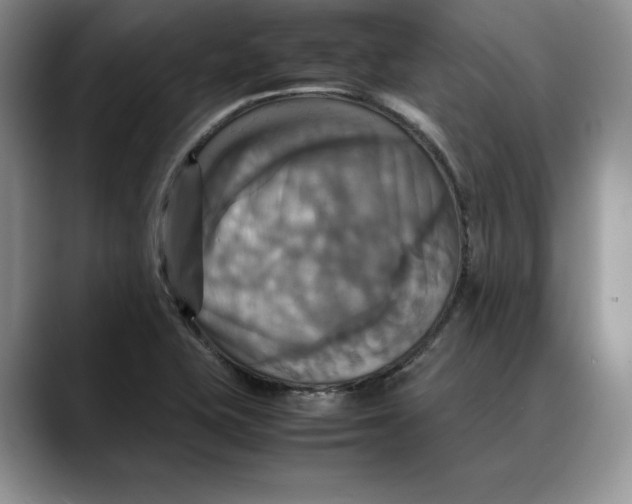 X0000088481415200706121522