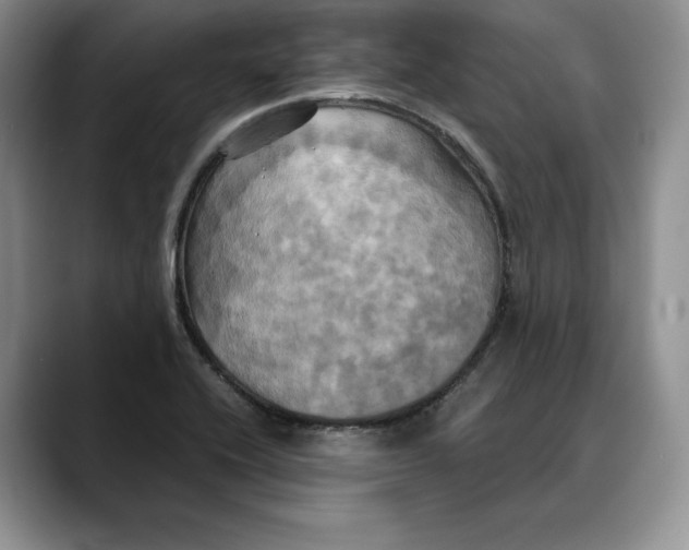 X0000088481416200706121522