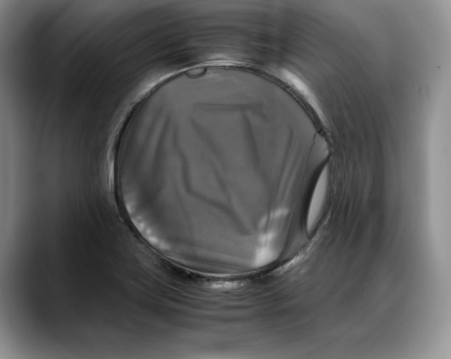 X0000088481419200706121522