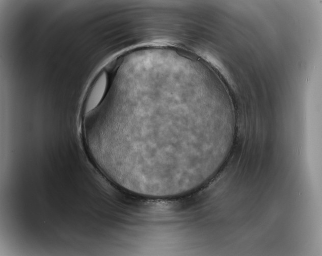 X0000088481420200706121523