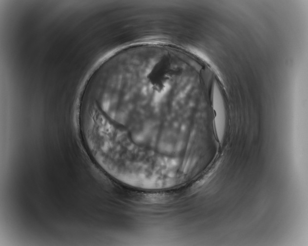 X0000088481421200706121523