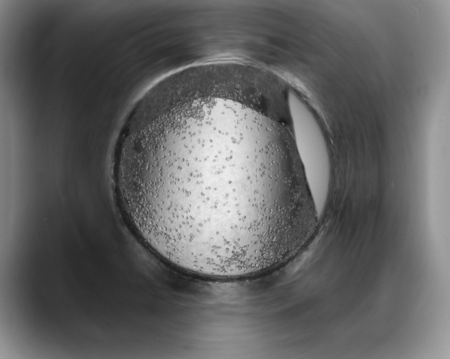 X0000088481422200706121523