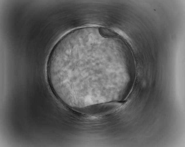 X0000088481423200706121523
