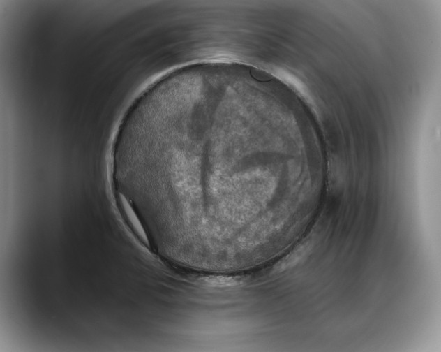 X0000088481424200706121523