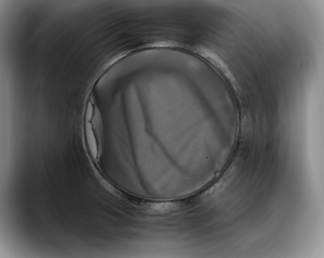 X0000088481425200706121523