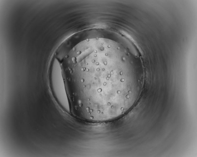 X0000088481426200706121523