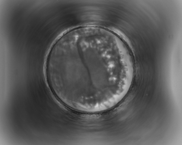 X0000088481429200706121523