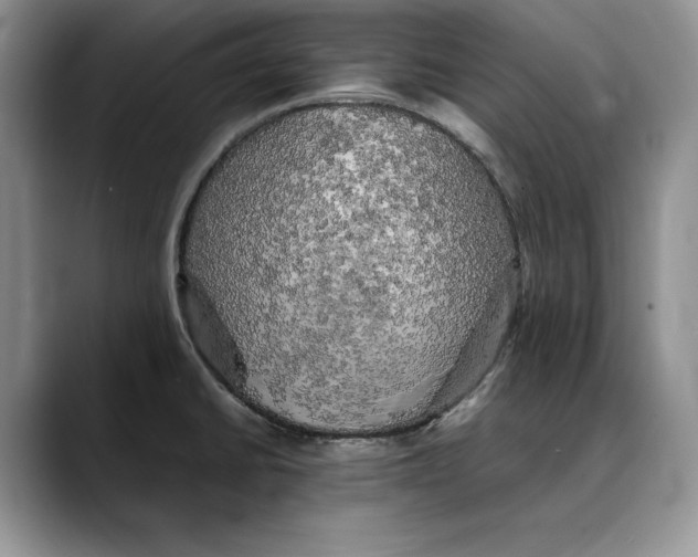 X0000088481430200706121523