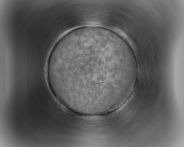 X0000088481432200706121523