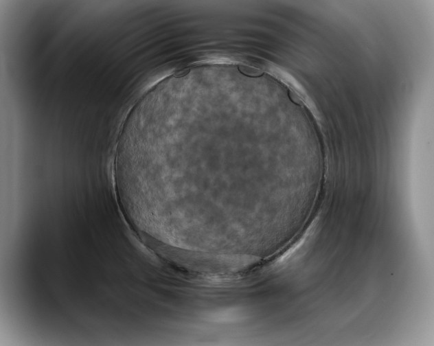 X0000088481433200706121523