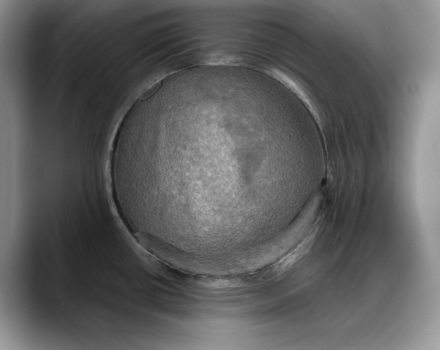 X0000088481434200706121523