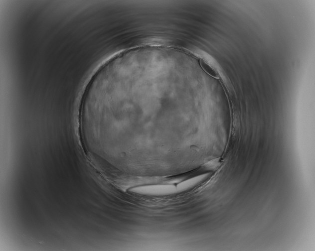 X0000088481435200706121523