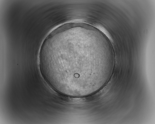 X0000088481436200706121523