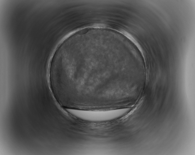 X0000088481437200706121523
