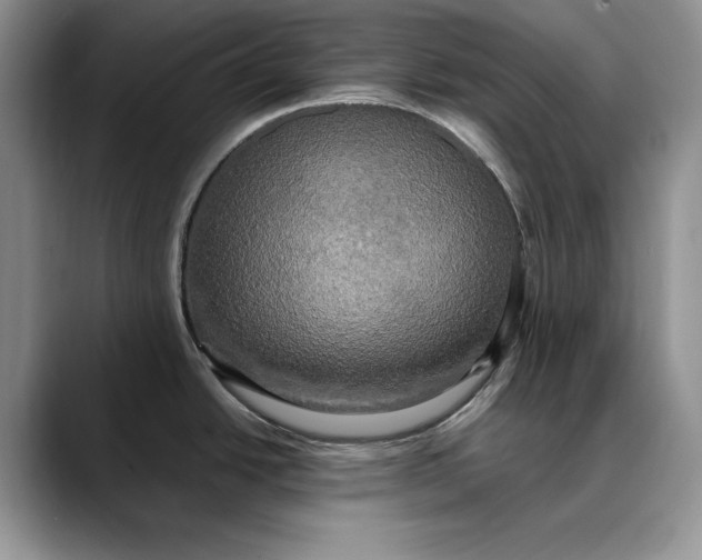 X0000088481438200706121523