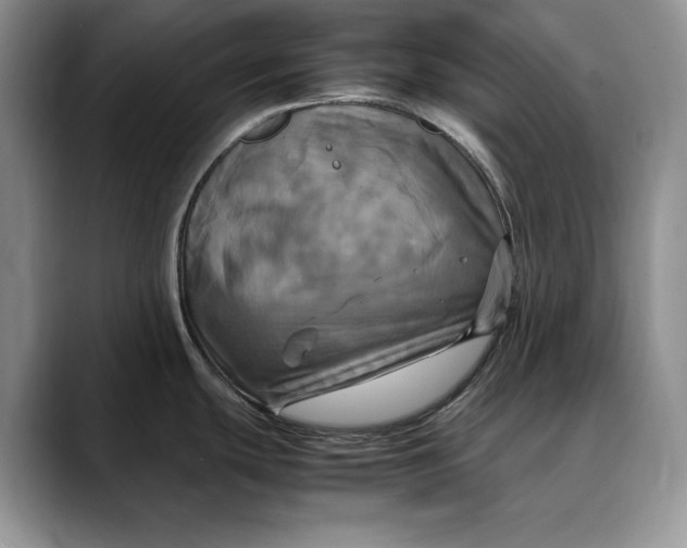 X0000088481439200706121523